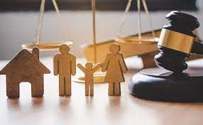 "Navigating Child Custody and Maintenance: Legal Paths to Protecting Parental Rights and Children's Well-being"